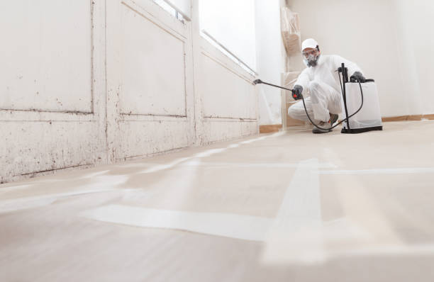 24/7 Emergency Black Mold Removal experts in Winchester, TN
