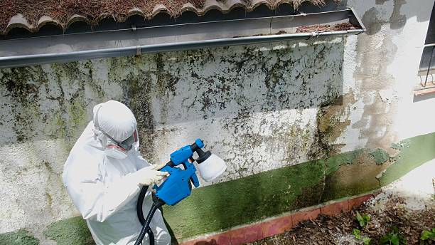 Trusted Mold Remediation service in Winchester, TN - Cheap Mold Removal